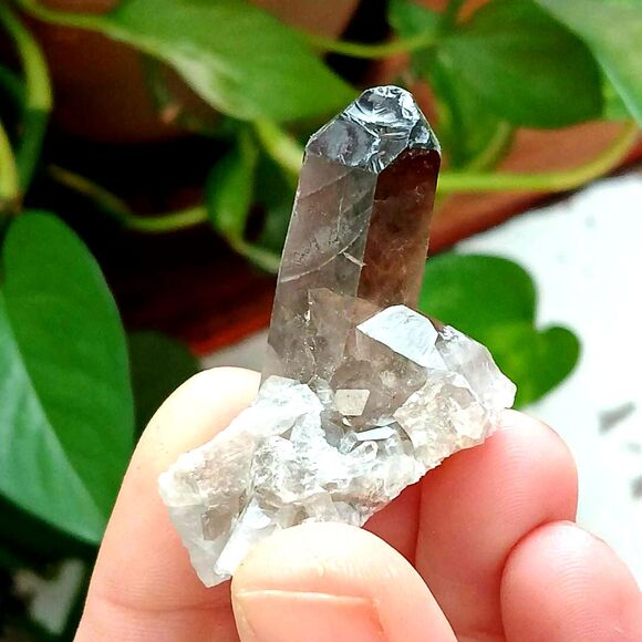 Smoky Quartz Crystal Cluster - Home, Garden, Office Decor - 2x1.5"" - Picture 1 of 3